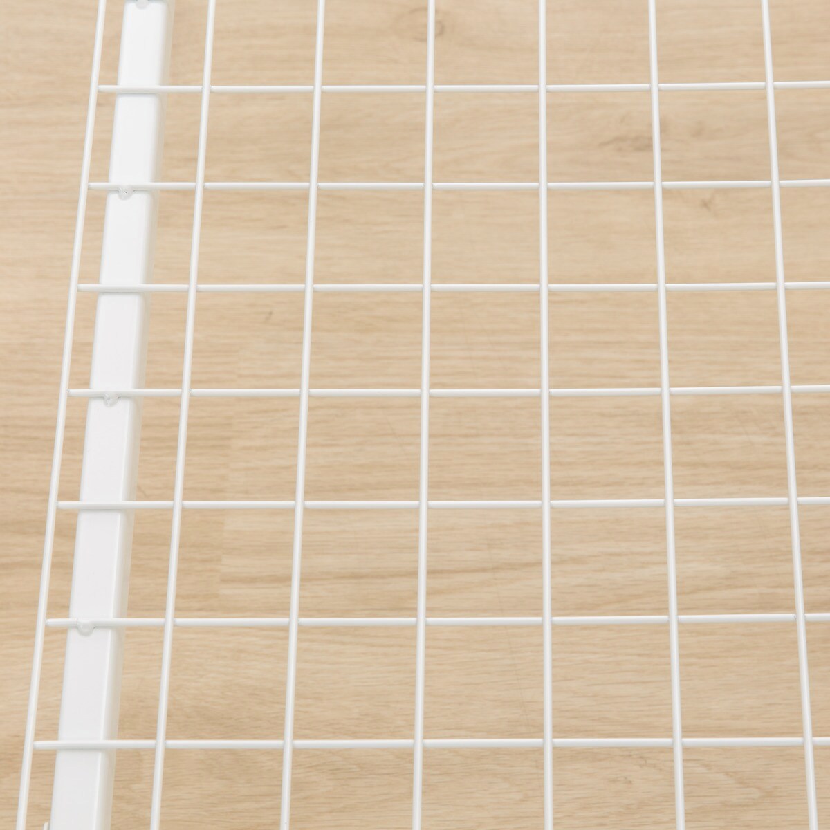 【傢俱】鐵床 巴吉納CN NP