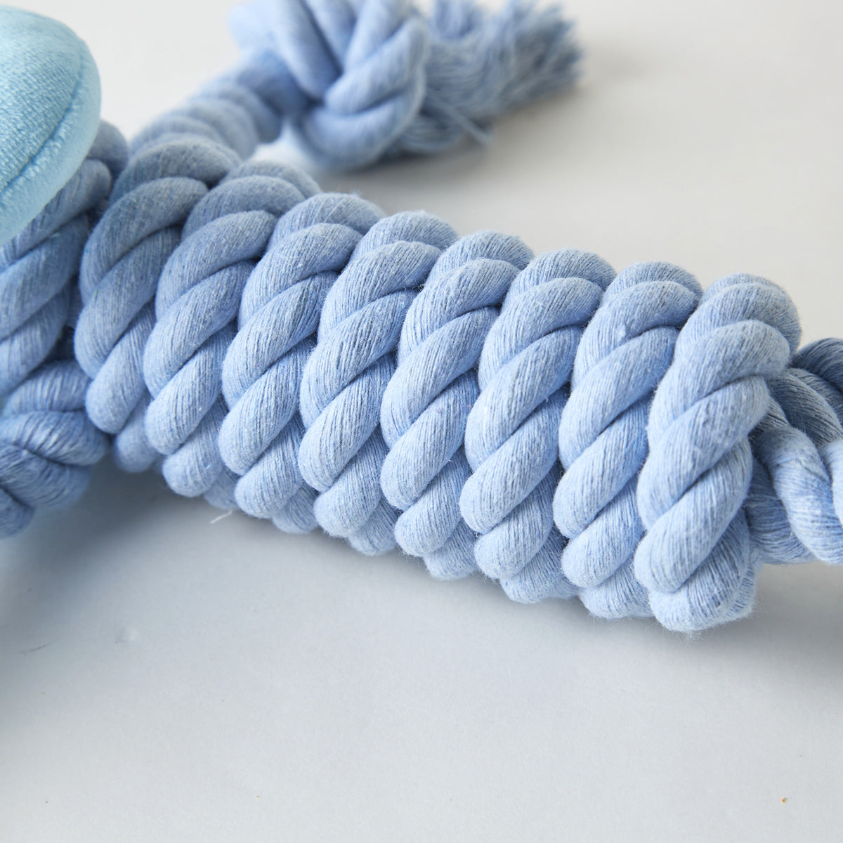 【家居】狗狗玩具 藍色大象