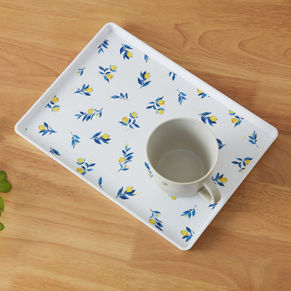 【家居】防滑樹脂托盤 25SS