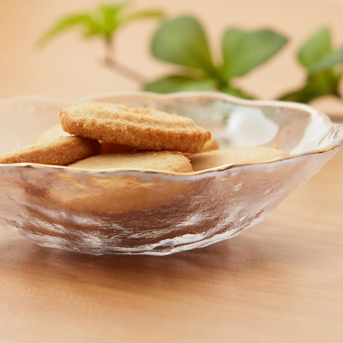 【家居】25cm玻璃深碟 金線