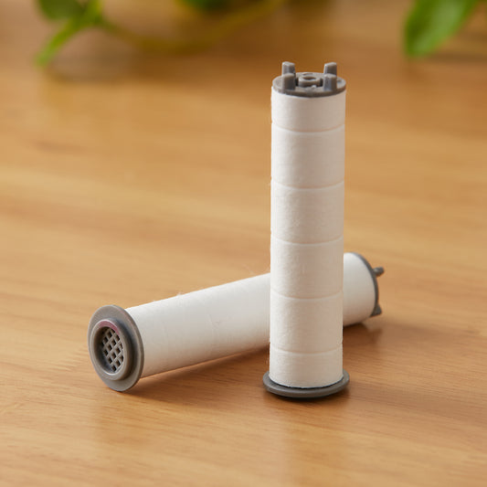 【家居】銀離子除余氯花灑用濾芯B 2支裝