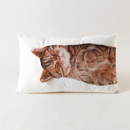 【家居】靠墊 毛茸茸喵耳朵/汪尾巴