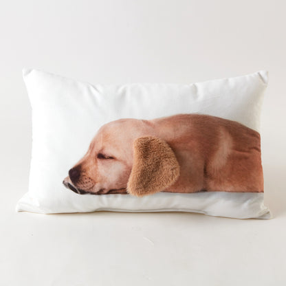 【家居】靠墊 毛茸茸喵耳朵/汪尾巴