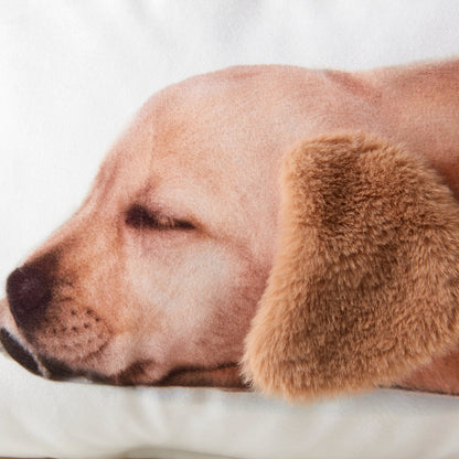 【家居】靠墊 毛茸茸喵耳朵/汪尾巴