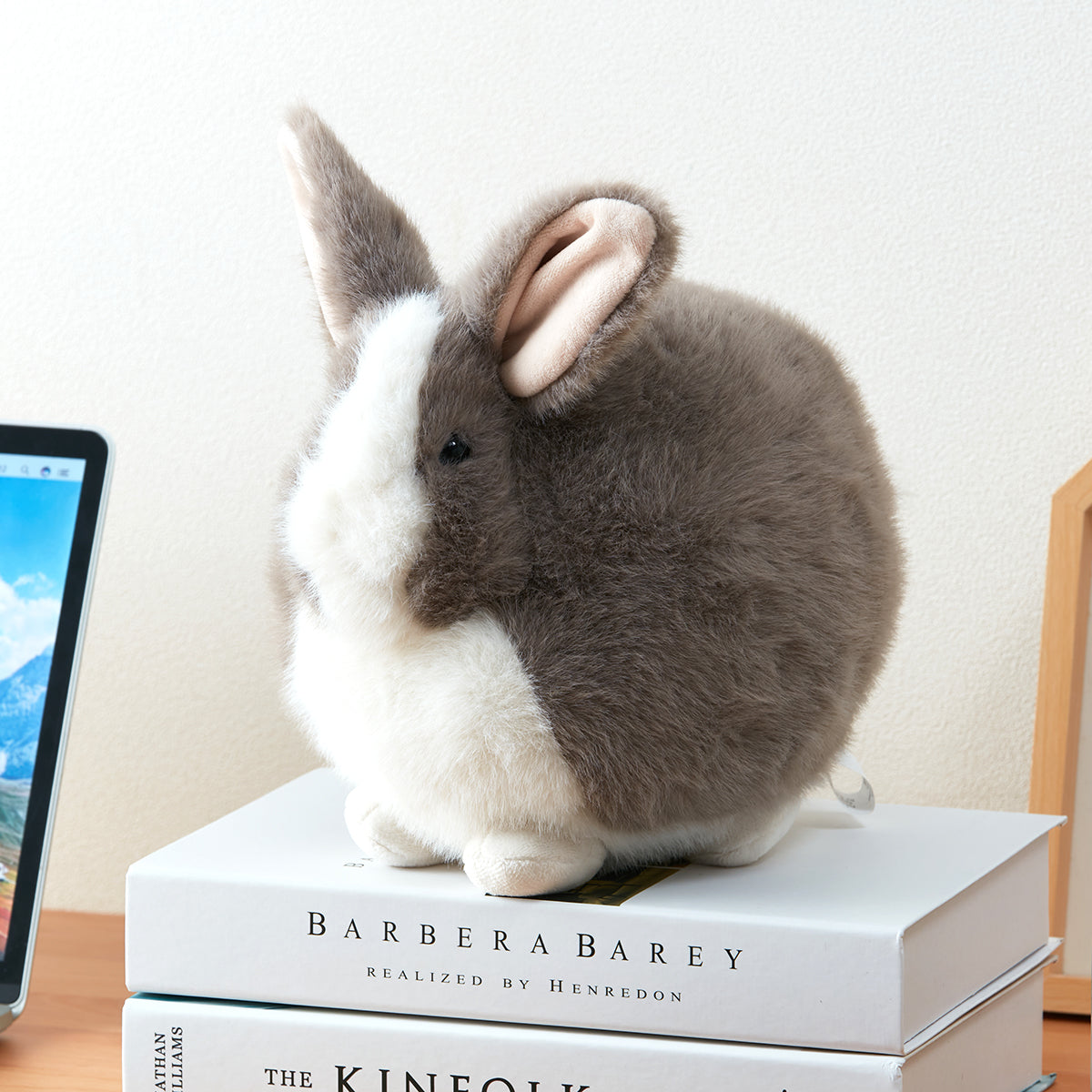 【家居】毛絨公仔抱枕 兔子球