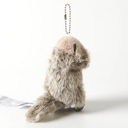 【家居】掛件 海獺