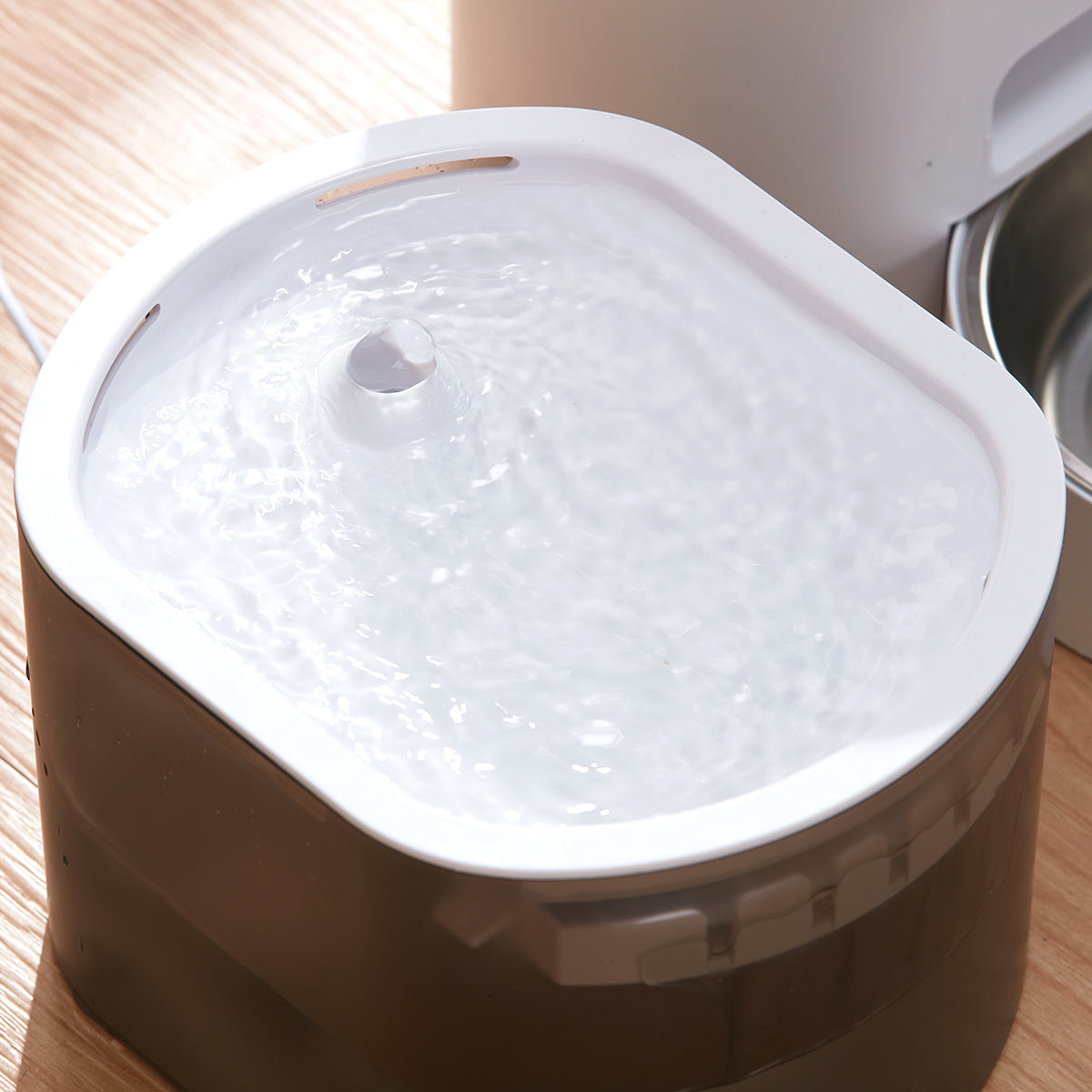 【家居】寵物自動餵食餵水器套裝USB款