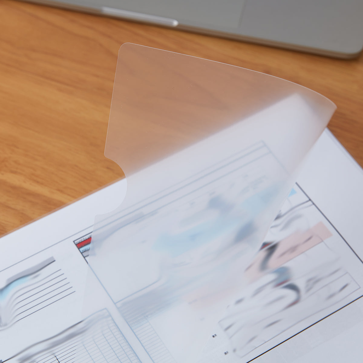 【家居】A4透明檔單片夾10P