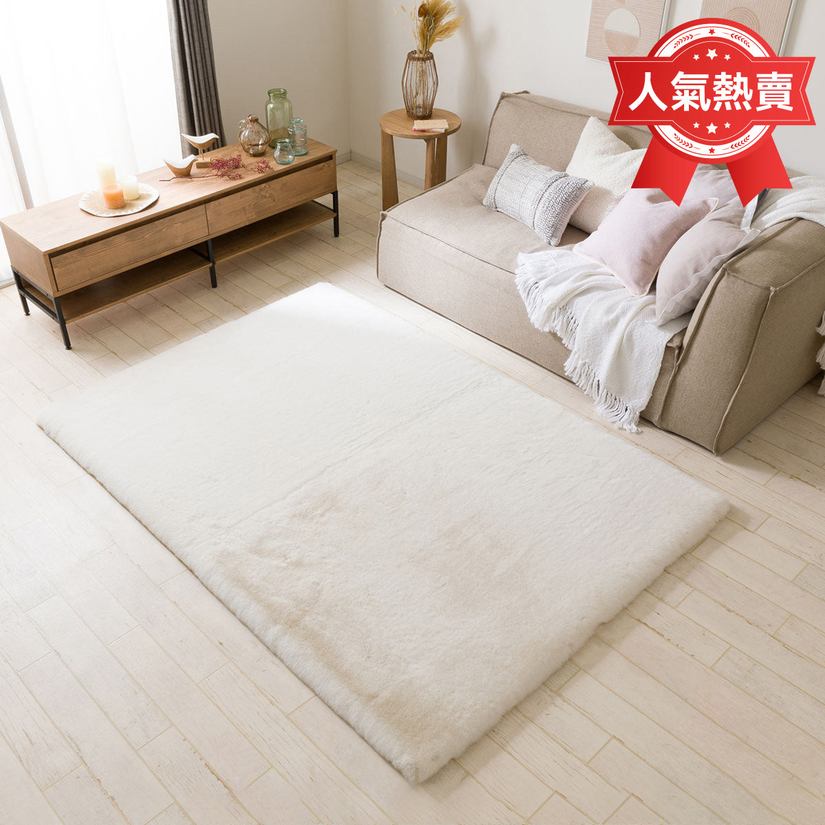 【家居】兔毛絨地氈SP