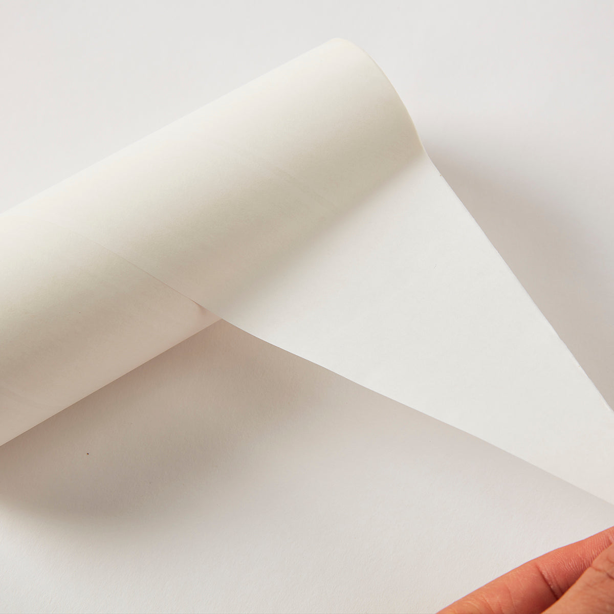 【家居】滾筒替換裝160mmX90張