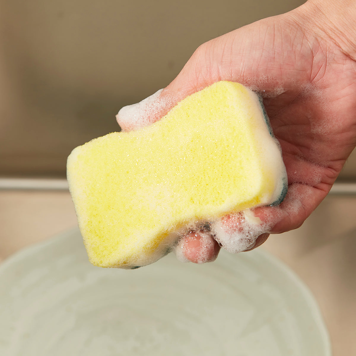 【家居】抗菌硬海绵 3枚 GR