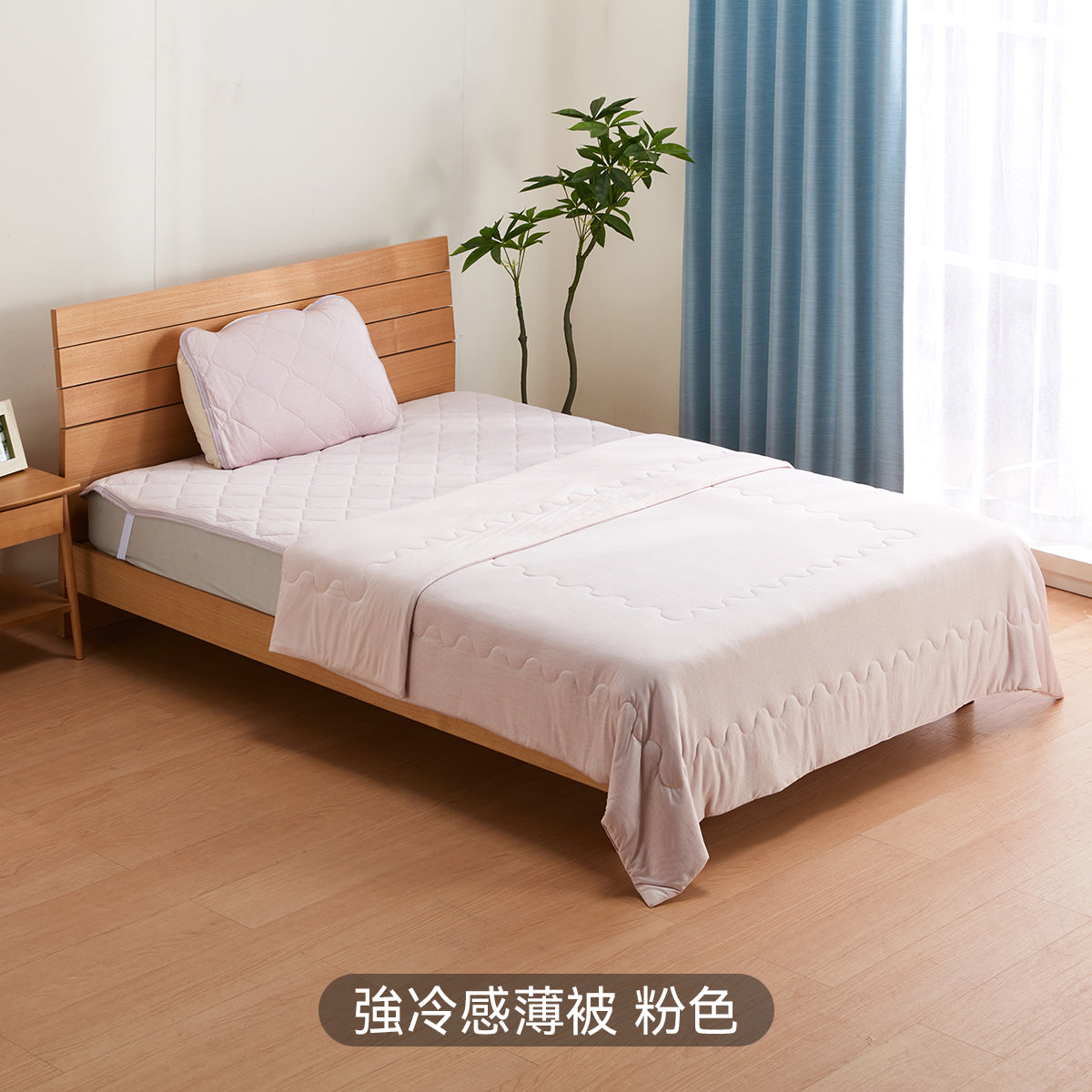 【家居】強冷感薄被/毛巾被/枕墊 S2502