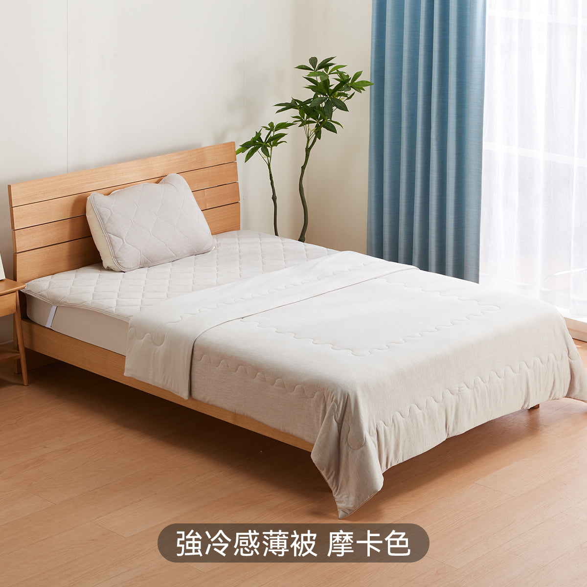 【家居】強冷感薄被/毛巾被/枕墊 S2502