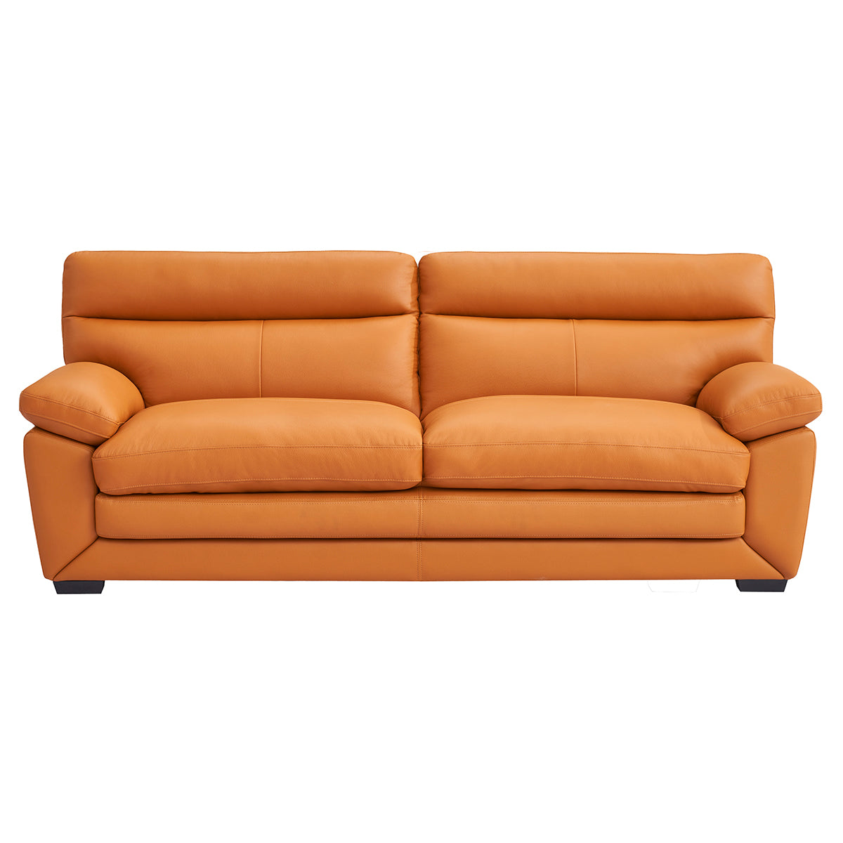 【傢俱】皮梳化 奧爾良2